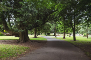 A serene paved path winding through a lush green park, inviting visitors to stroll and enjoy nature's beauty